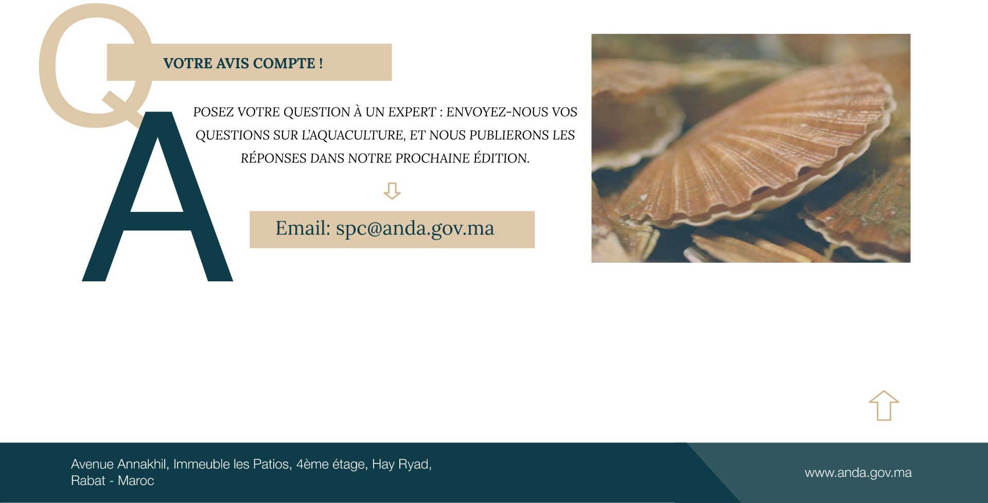 Enrichir votre regard - Contact ANDA